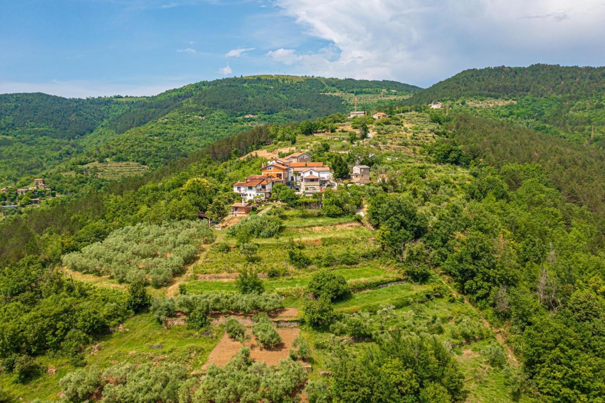 Holiday Home Belveder Motovun With Heated Pool Livade Exteriér fotografie