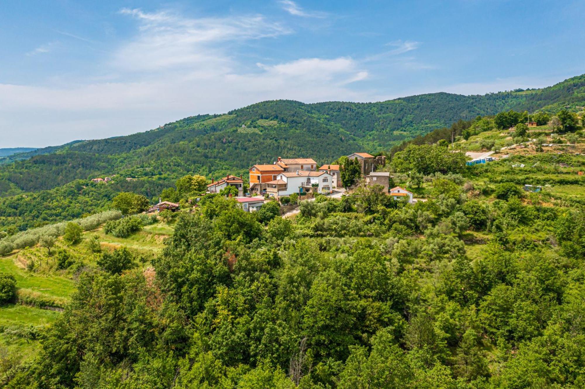 Holiday Home Belveder Motovun With Heated Pool Livade Exteriér fotografie