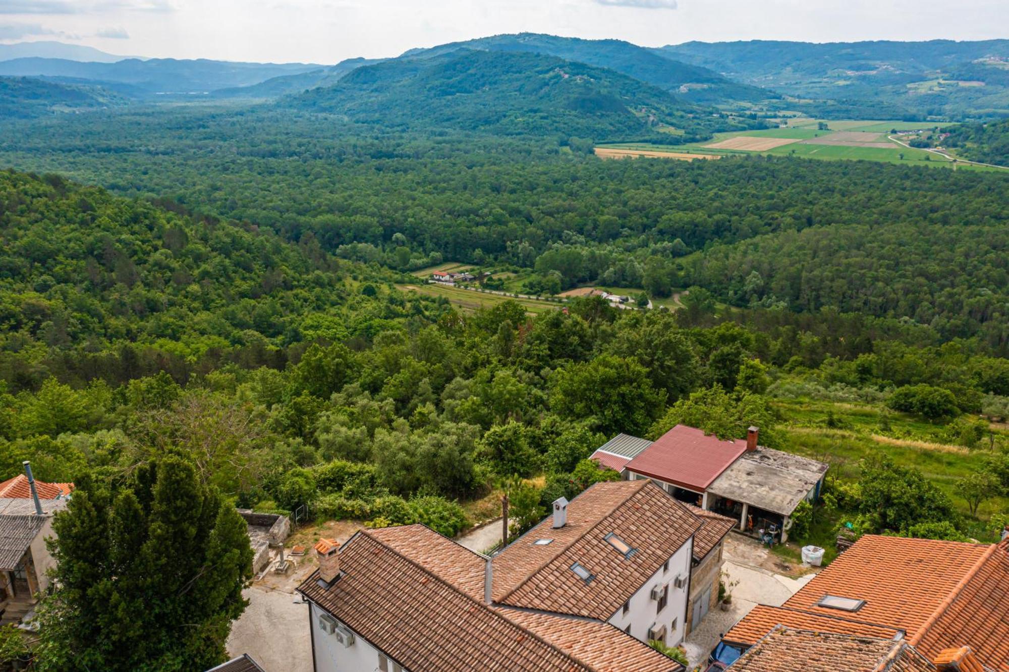 Holiday Home Belveder Motovun With Heated Pool Livade Exteriér fotografie